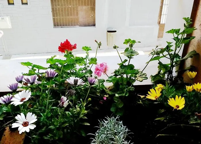 Appartement Apto Cimavilla Santa Candida Junto Plaza Mayor Vut-114-as *