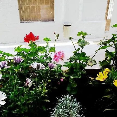 Apartment Apto Cimavilla Santa Candida Junto Plaza Mayor Vut-114-As *